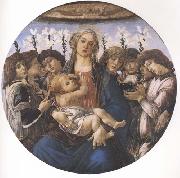 Sandro Botticelli Madonna and child with eight Angels or Raczinskj Tondo oil on canvas